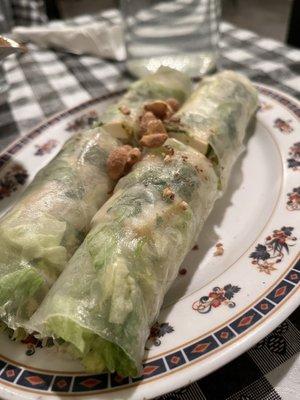 Fresh Veggies Spring Rolls