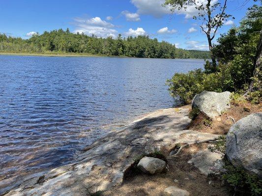 Beaver pond