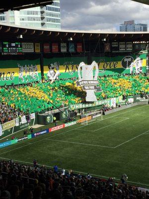 PTFC ARMY - MLS CUP BABY