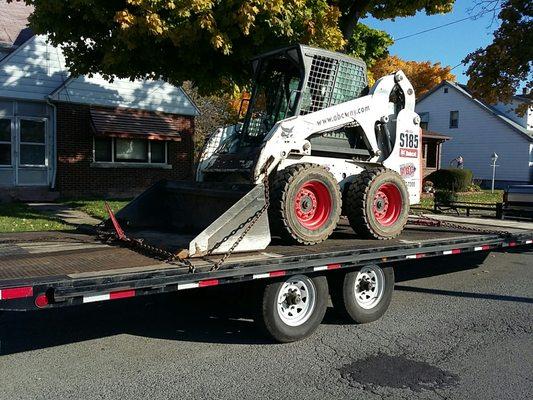 Bobcat.