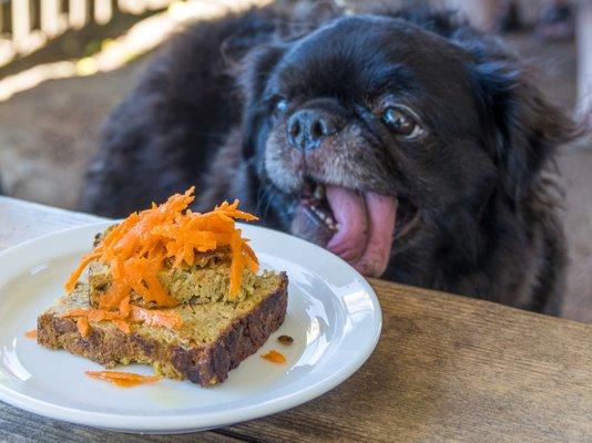 Stopped by for a flight and a snack, and got the puppy loaf too. He finished it FAST, so it must have been good. Good place to bring dogs!