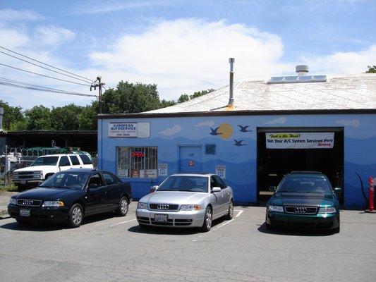 Audi B5 S4's