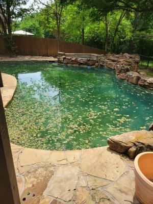 A pool that was let go for a while and needed our assistance and a little renovation.