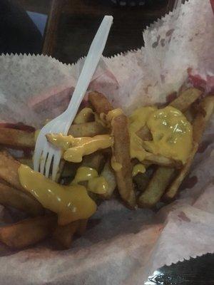 Terry's  Garlic cheese fries