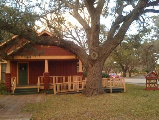 Bookstore in brown house under an oak