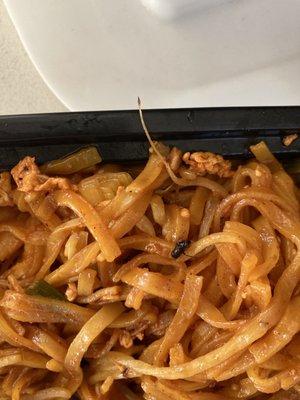 Dead fly in pad Thai that was supposedly made fresh.