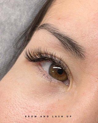 eyelash extension 2d