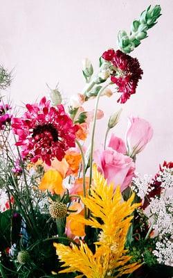 A close up of scabiosa, celosia, lisianthus, and nigella.