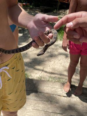 One of the guys from cold water caught a snake to show the group