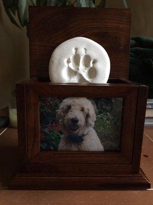 Urn with paw print