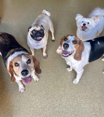 Benjamin at daycare with his new friends