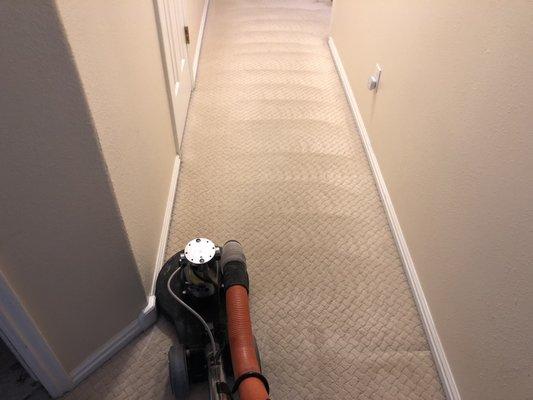 Carpet Cleaning in Idaho Falls!