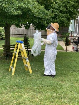 Taking down bald-faced hornet's nest