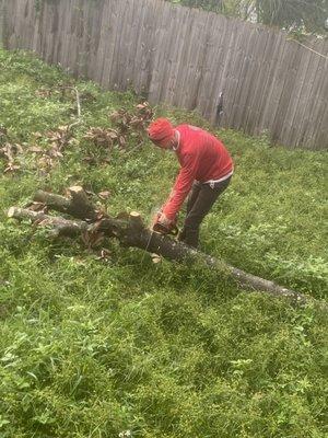 Finishing up tree