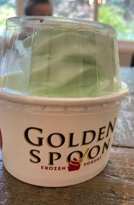 Pistachio gelato flavor- so good!