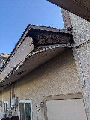 Rotten roof fascia.