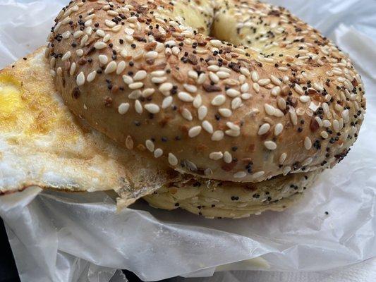 Egg & cheese on everything bagel - huge!