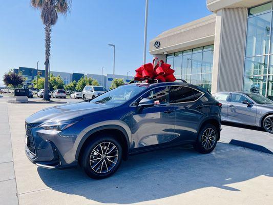 Lexus NX 300H