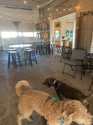 Our dogs, Oslo and Balto, in the back part of the tasting room.