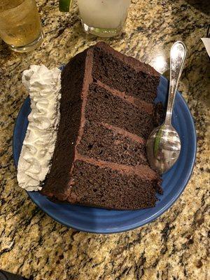 Chocolate cake slice -- HUGE!