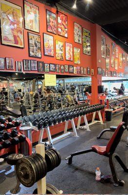 Dave Fisher's Powerhouse Gym Torrance