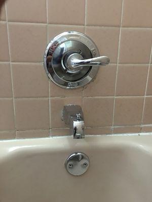 Delta Tudor and shower faucet