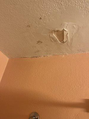 Molded water damaged ceiling