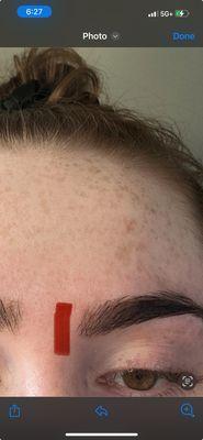 The red line indicates where by eyebrow was before she threaded them, and where they still SHOULD BE.