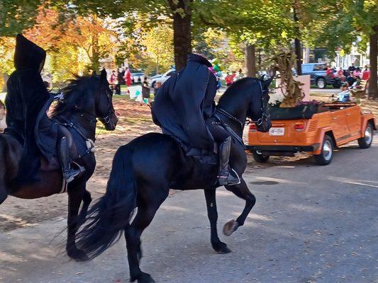 Horses are so beautiful.