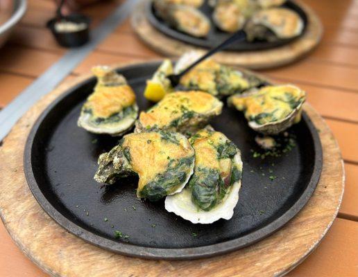 Baked Oysters with spinach