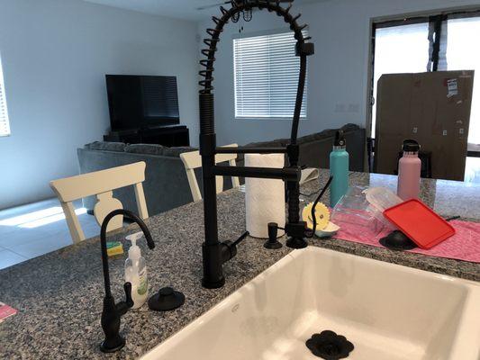 Matched my RO faucet with my sink faucet and soap dispenser!!