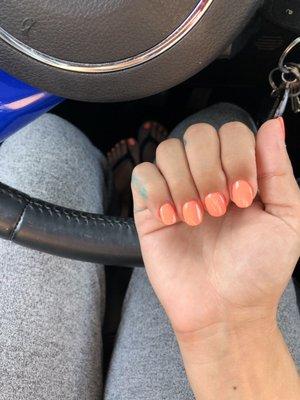 Dip on Regular Nails & Gel Toes