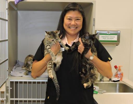 Sharon with MEOW kittens Tigerlily, Pansy, and Stargazer