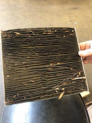 Filthy cabin air filter