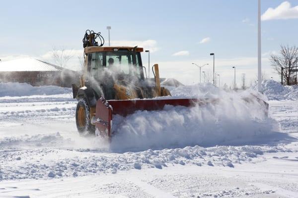 Tovar Snow Professionals