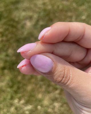 Blossom Nails and Spa