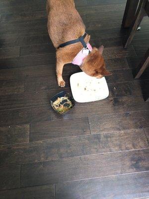 End results, I gave the food to my dog. Who had already cleared my plate and some of my sons.