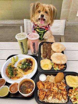 IG @FoodandPooch