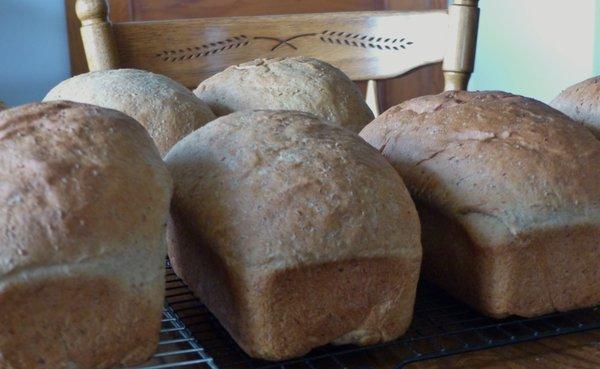 Hearty Grain Bread