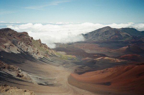 Film developed form Hawaii!