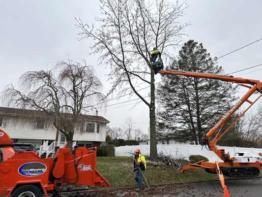 Turuy Landscaping Services