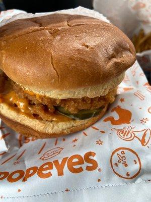 Spicy Chicken Sandwich Combo!