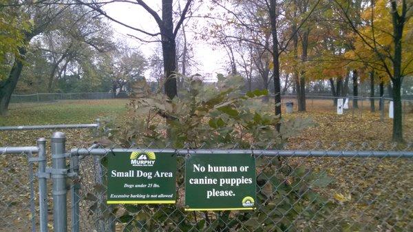 Three fenced in areas, co-joined by gates. Very convenient.