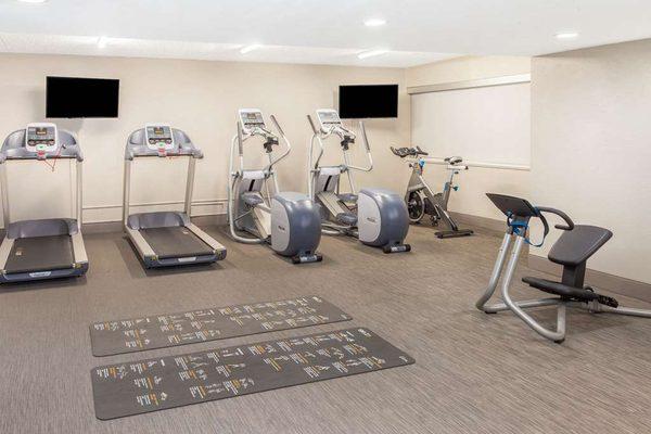 Health club  fitness center  gym