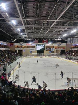 Wenatchee Wild Game - Pucks N' Paws Night