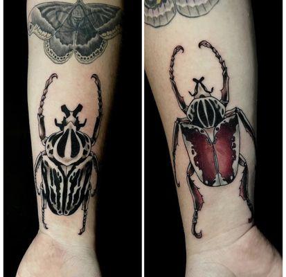 Fun Beetles for Kyleigh