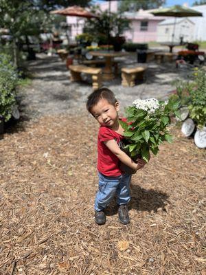 Even the kid loves their plants