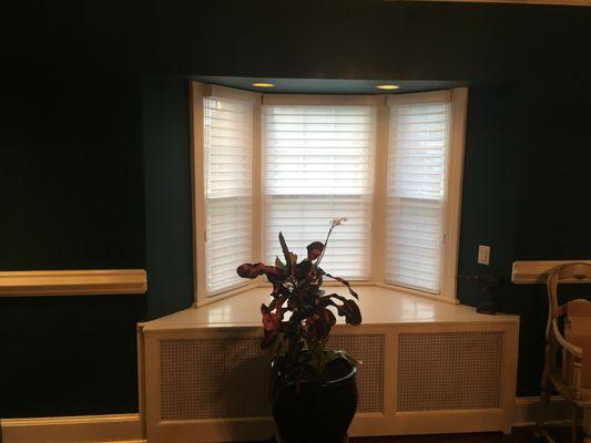 Hunter Douglas 2" Silhouettes