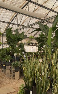 They have a great selection of plants, all healthy and well maintained!