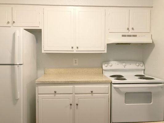 Spacious one, two and three bedroom apartment homes at Willow Run Apartments in Fayetteville, NC